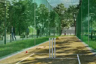 Cricket Net